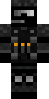 Скин по нику swat_7