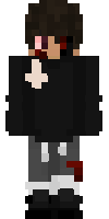 Скин по нику terror