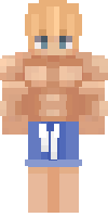 Скин по нику terroriser