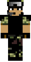 Скин по нику terrorist2