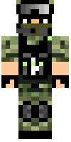 Скин по нику terrorist4