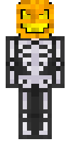 Скин по нику themrchomikpl