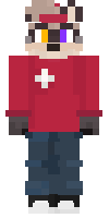 Скин по нику thewerpvp