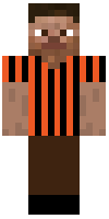 Скин по нику tigerminecrafter