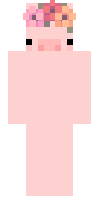 Скин по нику tinypigy