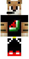 Скин по нику tntcrafter7003
