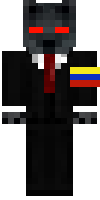 Скин по нику tomasdr
