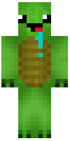 Скин по нику turtle1234