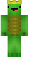 Скин по нику turtleboy2