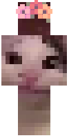 Скин по нику tyrtle