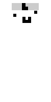 Скин по нику tyutyunu228