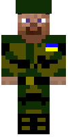 Скин по нику ukrainewar