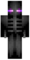 Скин по нику v1zer