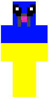 Скин по нику vaa_Sem
