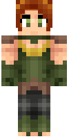 Скин по нику vanguard_