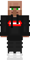 Скин по нику villagegl