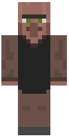 Скин по нику villagernumber1