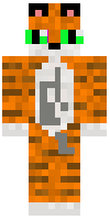 Скин по нику w55