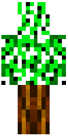 Скин по нику wereturtwig