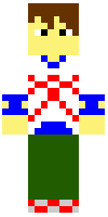 Скин по нику wickstud
