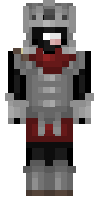 Скин по нику wildspartanz