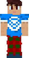 Скин по нику windizel11