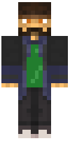 Скин по нику wizardis