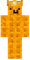 Скин по нику wqffled_