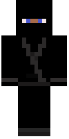 Скин по нику xNicegamer101