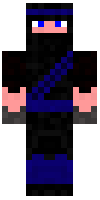 Скин по нику xToasty