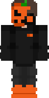 Скин по нику xtyger