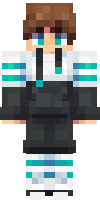 Скин по нику zane
