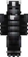 Скин по нику zeblackingg