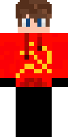Скин по нику zimt33