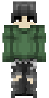 Скин по нику zoro