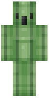 Скин по нику zucchini