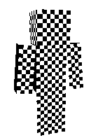 черно беленький