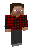 чел с фланелевым рубашкой / Скины для Майнкрафт / Minecraft Inside
