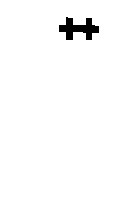loxer white
