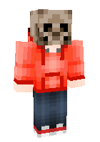 Skeleton in hoddie