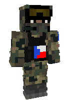 Чехия армия