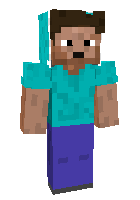 Steve the traveler