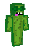 werizyc