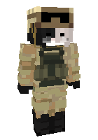 Soldier