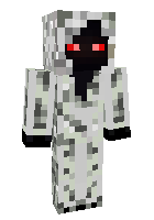 Entity_303 PlayMine