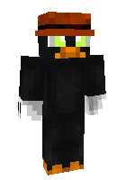 13black duck_