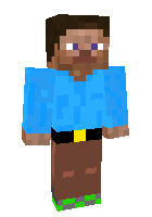steve in form