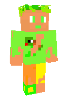 turtle бомж