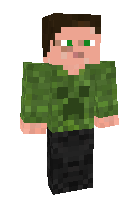 Brick_Ninja_Wil