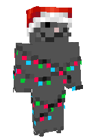 новогодний кот